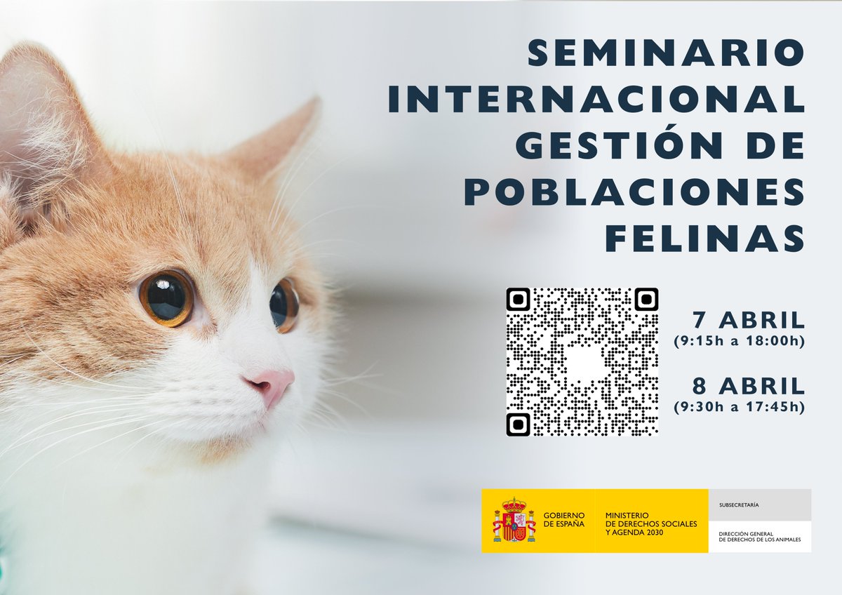 El 7 y 8 de abril tendrá lugar el Seminario Internacional de Colonias Felinas.

Reunimos investigadores nacionales e internacionales para conocer la realidad de la gestión de estos animales y que ayudará a garantizar su bienestar y controlar su población.

mdsocialesa2030.gob.es/derechos-anima…