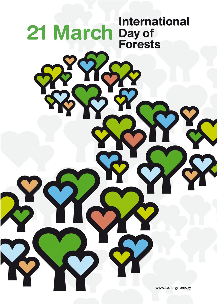 unepwcmc's tweet photo. Forests are essential for planetary health &amp; human well-being. They:

🥭Provide goods such as timber, fuel &amp; food
🌳 Help combat #climatechange
🐒 Protect #biodiversity, soils &amp; rivers
🧘‍♀️ Serve as areas where we can get close to #nature

Celebrate #IntlForestDay next week! https://t.co/tOf4zMHOOH