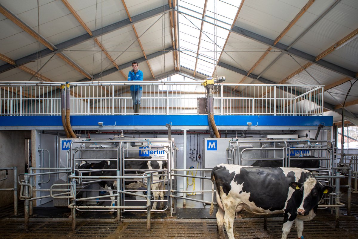 Future proof your M2erlin robots by choosing the best layout that can grow with your ambitions #milkingwithm2erlin 

#SmartMilking #RoboticMilking #Dairy