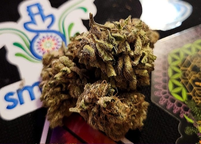 LongHaired_One's tweet photo. #WakeAndBake 🌬 #WatermelonCake 🍉
#Frhighday 🔥
#SmokinJs 🌱 https://t.co/Ph8Opy9Npm