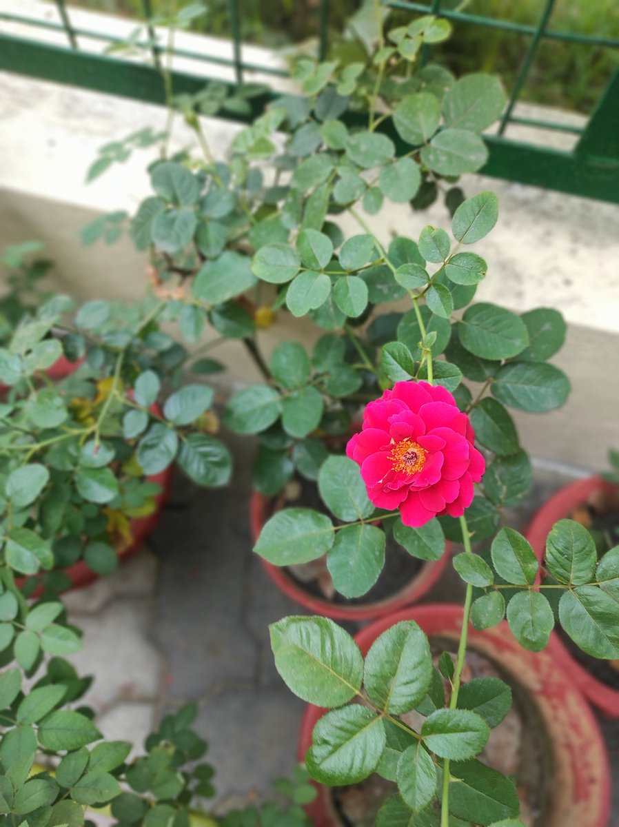 I believe that each one of us survives an extra day to witness something they haven't seen before, or feel something they haven't yet felt. Look around, there's always something to notice and capture!