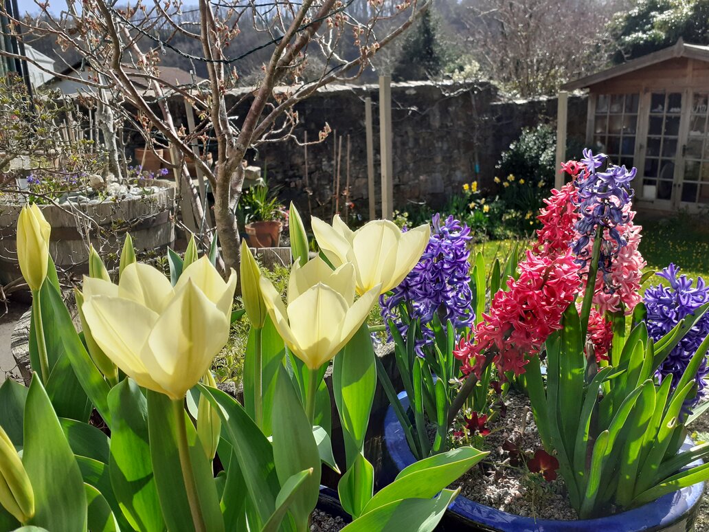 57 days to go to Blue Pearl: A One World Oratorio world premiere. London or online, an evening of beautiful and moving music in store. Tickets stevebanks.info. <a href="/mozartplayers/">London Mozart Players</a> <a href="/ExcelsisChoir/">Excelsis Choir</a> <a href="/VoxFarnham/">Vox Farnham Chamber Choir</a>  @AngelaHicksSop <a href="/stgilescg/">St Giles Cripplegate</a> #choir #choralmusic #londonevents