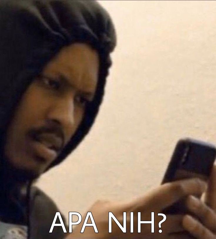 yse ᯅ̈ ia tweet media