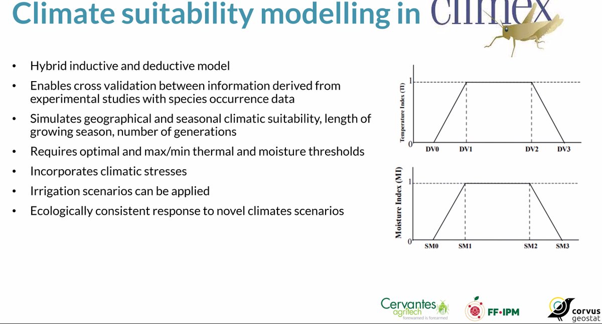 '#Fruit_flies in a Warming World'-> very interesting presentation in the #IPRRG cycle by dr Anna Szyniszewska. #climate_change #CLIMEX #FFIPM # B.zonata, B.dorsalis, C. capitata #spatial_modelling