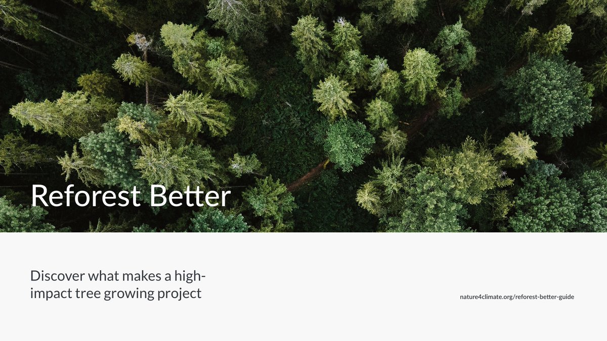 Nature4Climate's tweet photo. 🔊 SAVE THE DATE!

We are excited to share that we will be celebrating #IntlForestDay with a brand new tool for identifying and assessing high-quality #forest restoration projects! 🌳

STAY TUNED for Monday, March 21st.
#NaturePositive #ReforestBetter https://t.co/sggIycAqSX