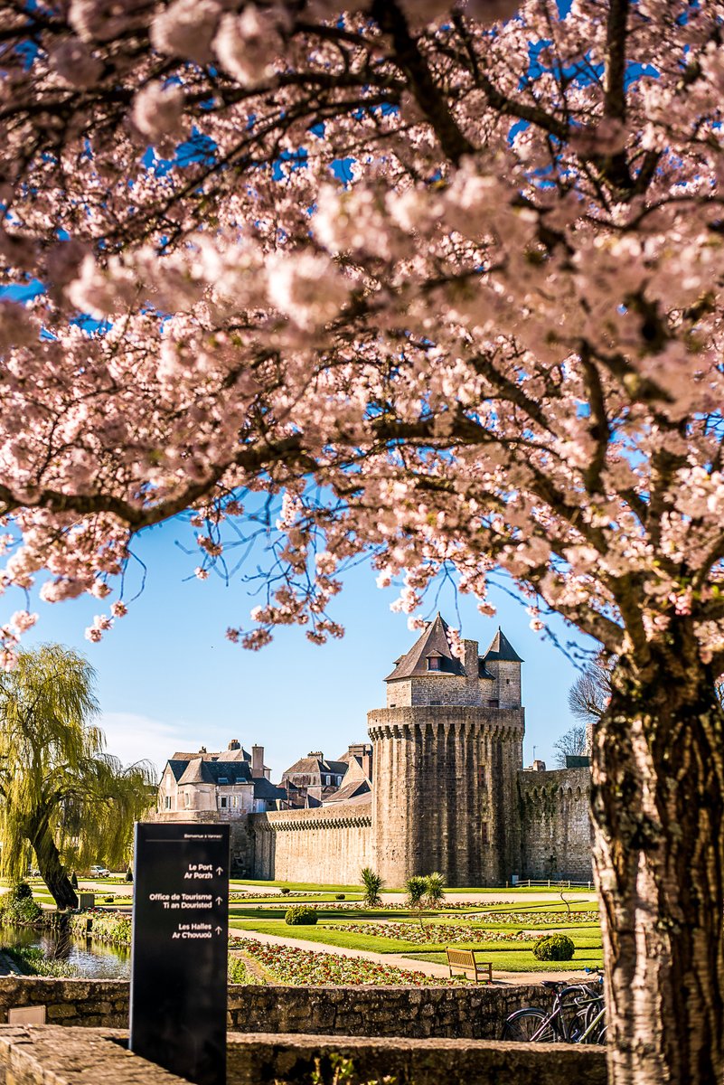 PPonchon's tweet photo. #Morbihan - Hanami dans le jardin des Remparts à #Vannes https://t.co/mj6PCZKuky