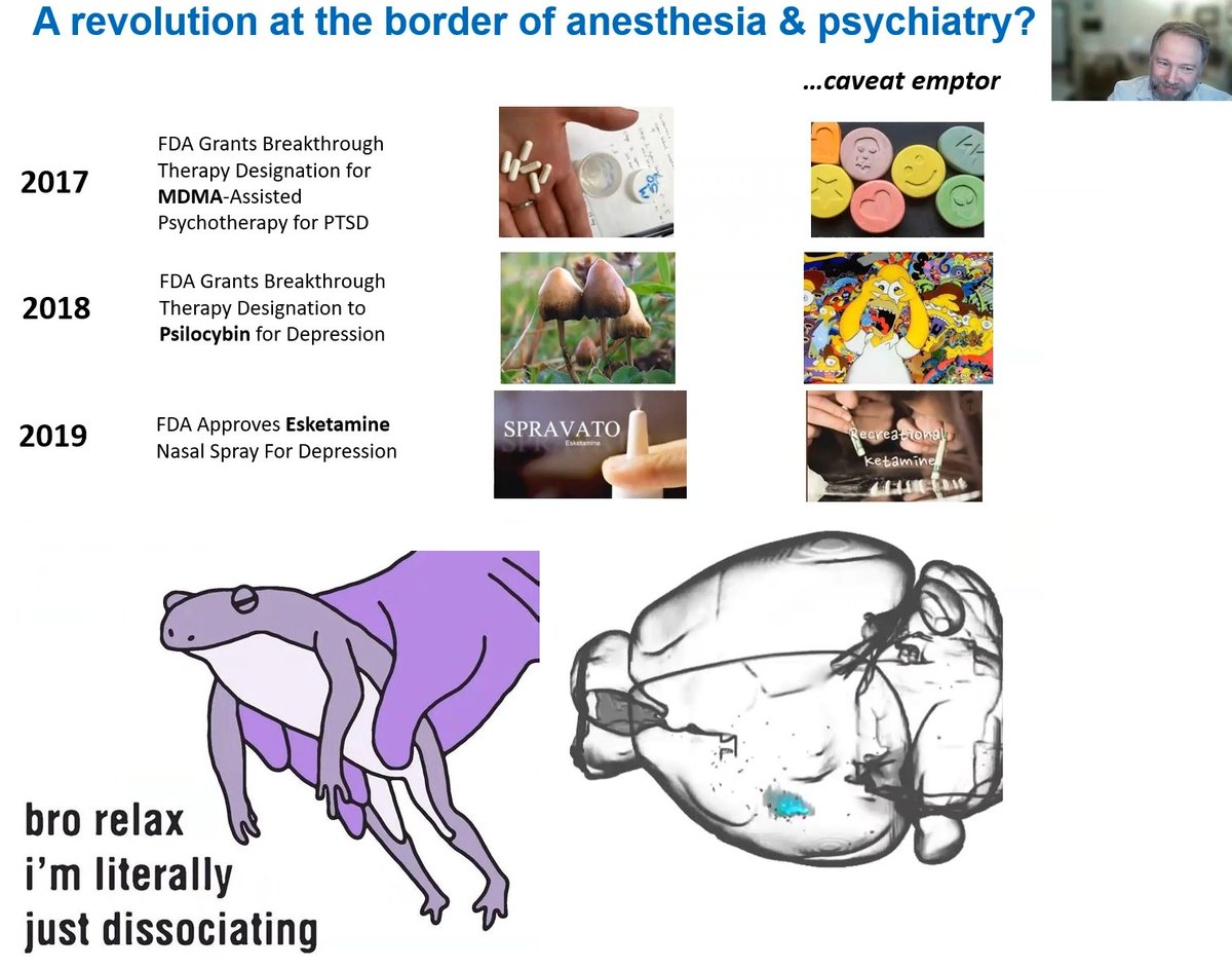 Kathleen Vincent, PhD tweet media