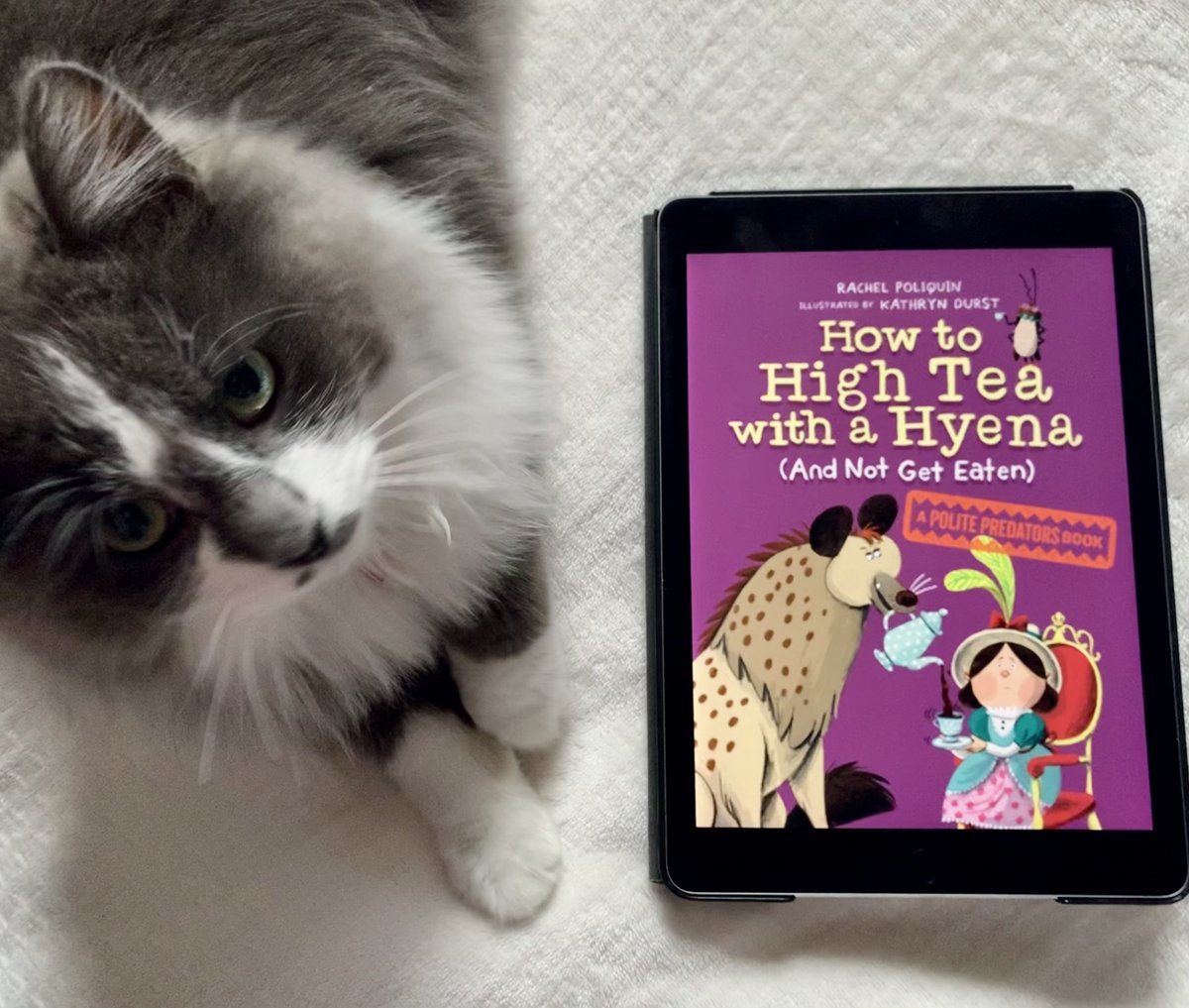 Jill Jemmett is querying 📚 (@jilljemmett) on Twitter photo I gave ⭐️⭐️⭐️⭐️⭐️ to How to High Tea with a Hyena (And Not Get Eaten) by <a href="/ravishingbeasts/">Rachel Poliquin</a> <a href="/KathrynDurst/">kathryn durst</a> jilljemmett.com/2022/03/18/rev… I gave ⭐️⭐️⭐️⭐️⭐️ to How to High Tea with a Hyena (And Not Get Eaten) by <a href="/ravishingbeasts/">Rachel Poliquin</a> <a href="/KathrynDurst/">kathryn durst</a> jilljemmett.com/2022/03/18/rev…