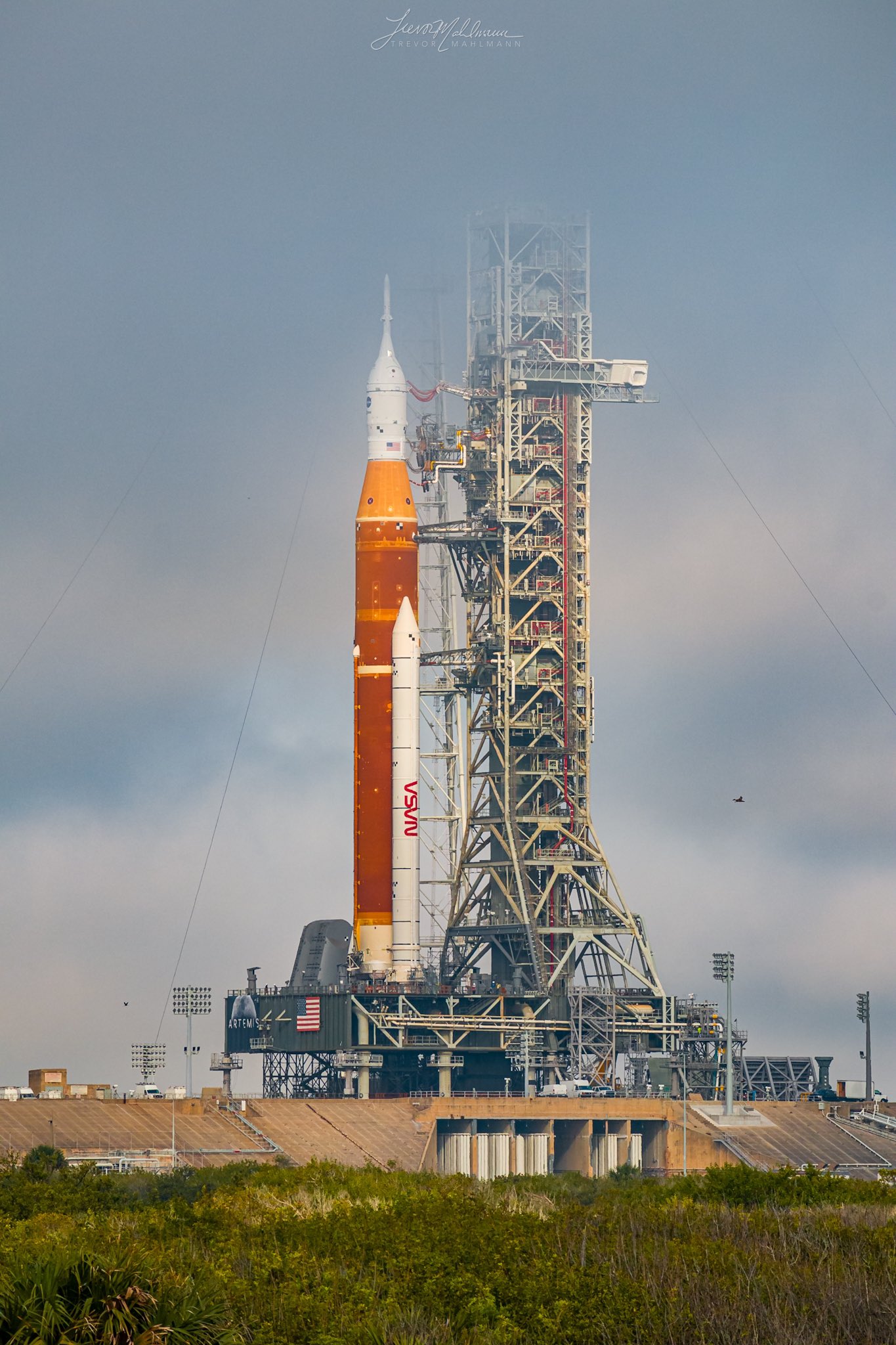 📸Trevor Mahlmann on Twitter: 