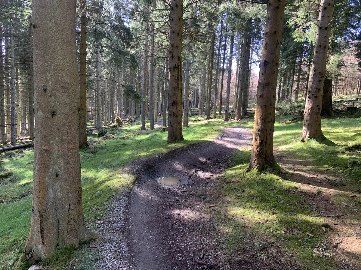 DenisRobson2's tweet photo. Super day for #mtbfriday. Managed to squeeze in the messages and a GT morning ride. Enjoy your weekend folks. @TweedGo
#adventurebybike
#lowcarbonfun #tweedvalley https://t.co/gHg0d5XKmr