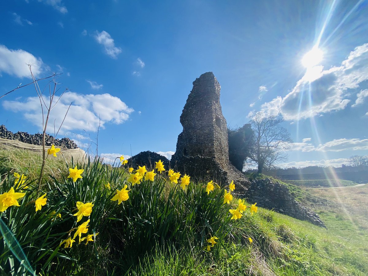 Berkhamsted Castle tweet media