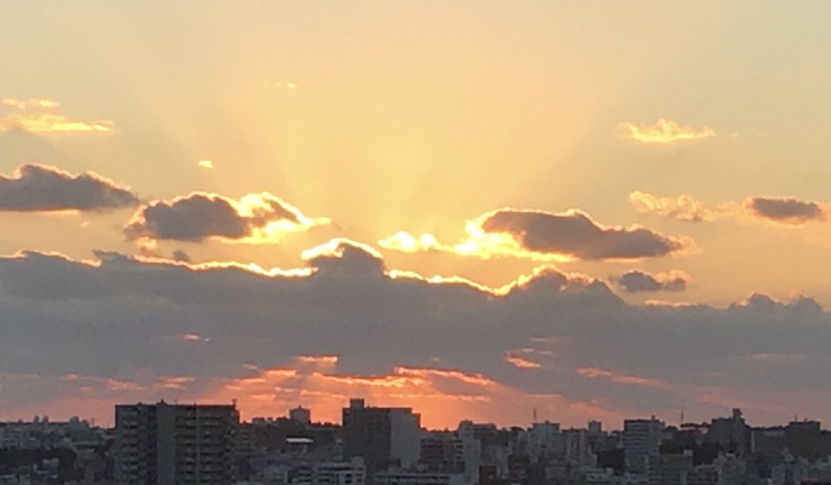 jindama's tweet photo. 神さまいそう https://t.co/5Li0RAiLA5