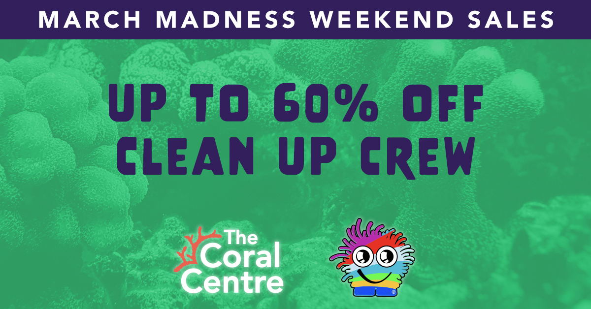 The Coral Centre on Twitter "This weekend's March madness deal is all about our Critters! We