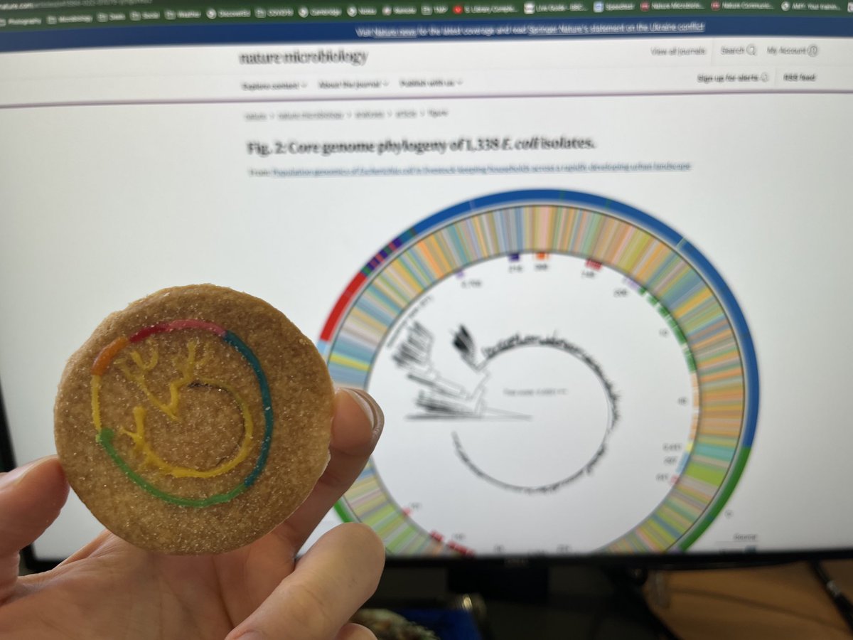 Wow I can see Phylogroup A, B1 and even the usually human associated B2 clade (red) sticking out! 10/10 for scientific accuracy and 11/10 for delicious shortbread. Nice work ⁦<a href="/deirdremcclean1/">Deirdre McClean</a>⁩