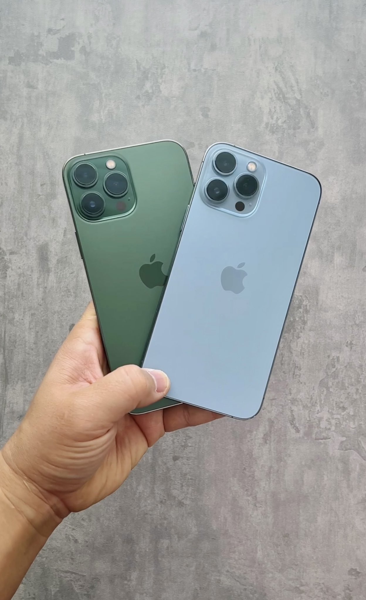 Danny Winget on X: Alpine Green vs Sierra Blue! Which iPhone 13 Pro Max  color is better? Alpine Green Unboxing and comparison video here:    / X