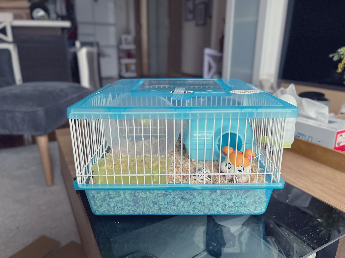 akidearest's tweet image. Boyfriend told me we can’t have a hamster. So I got the new hamtaro figure and put it in a hamster cage to fill the void 🐹 🌻