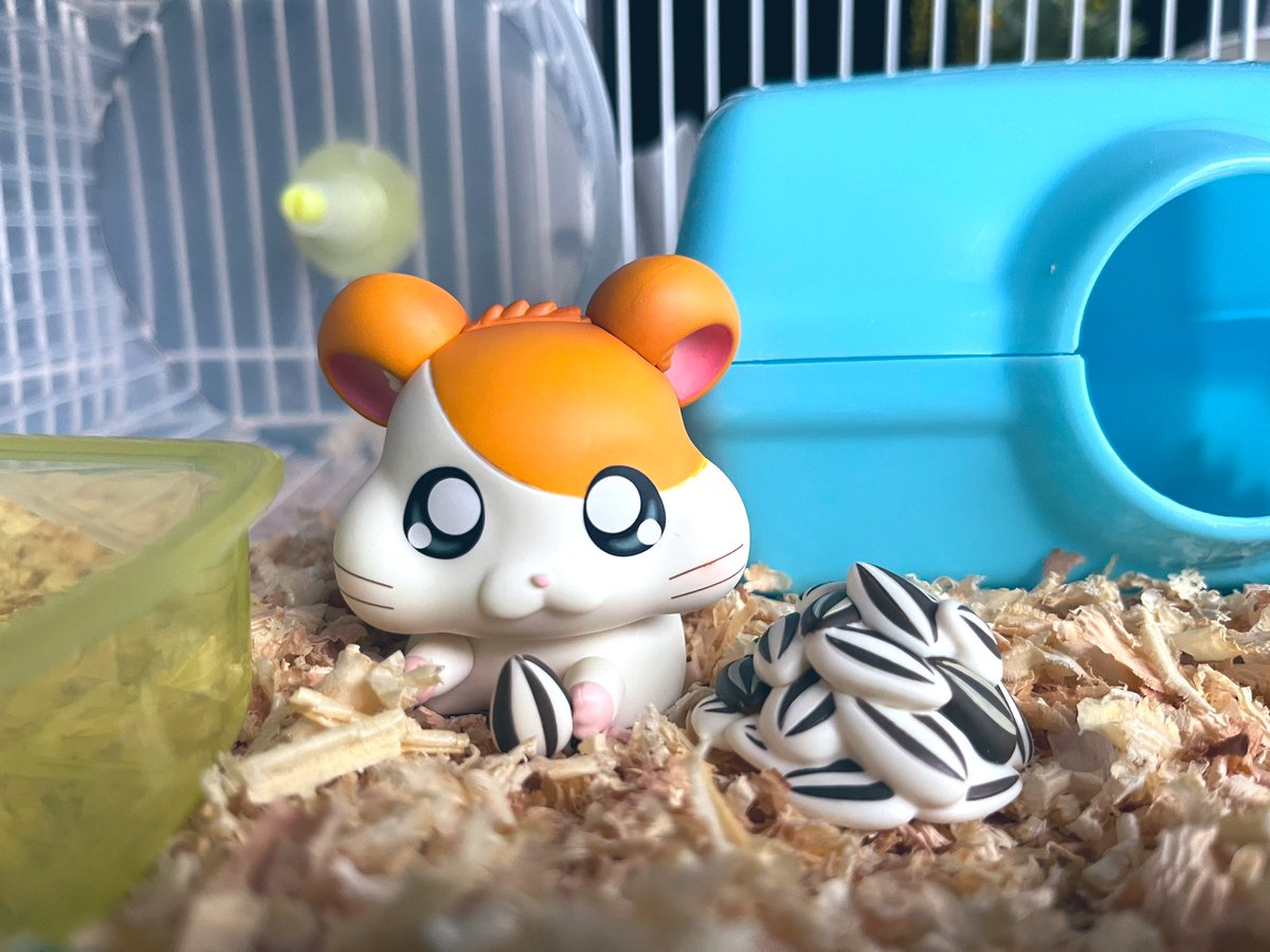 akidearest's tweet image. Boyfriend told me we can’t have a hamster. So I got the new hamtaro figure and put it in a hamster cage to fill the void 🐹 🌻