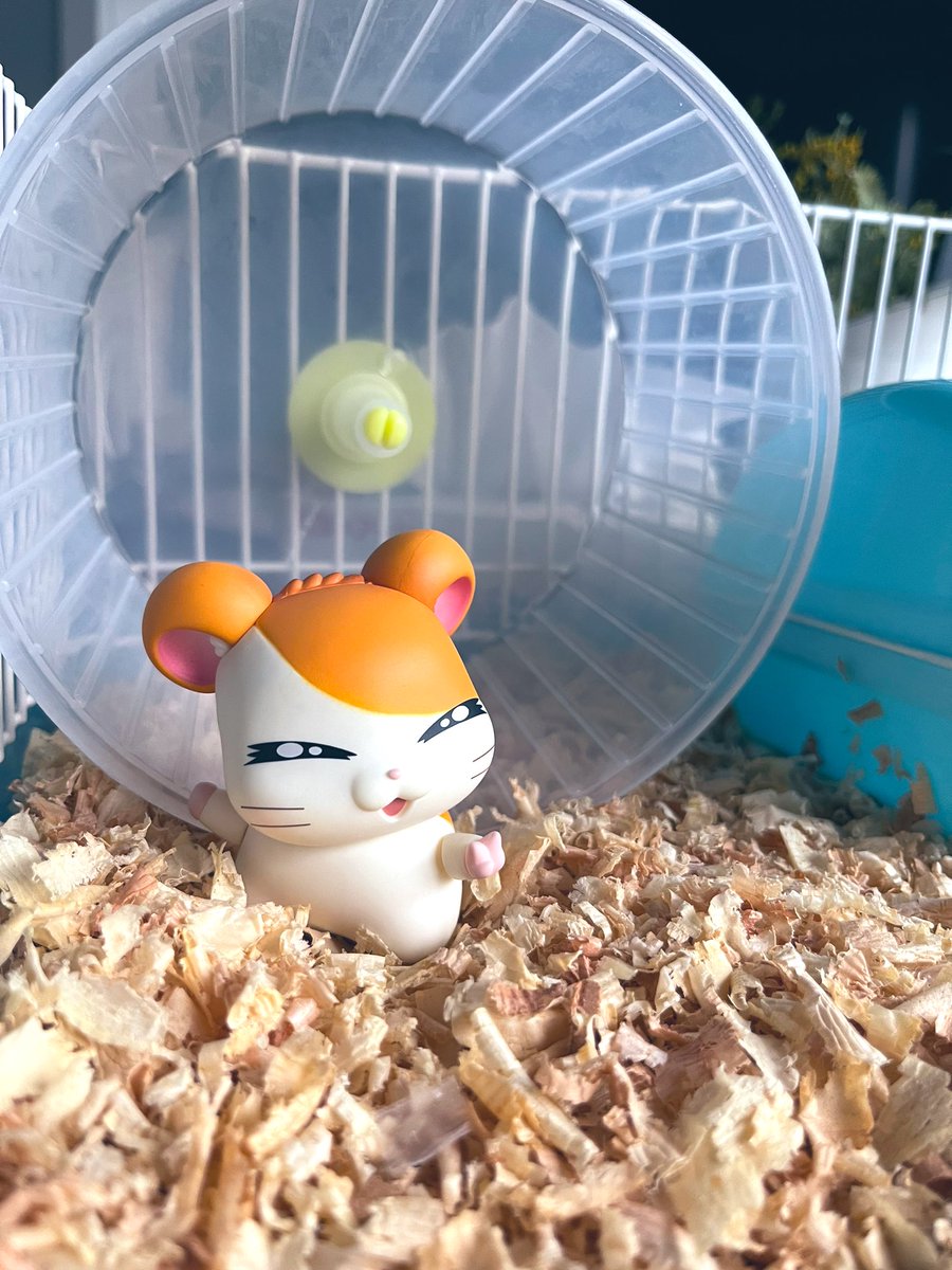 akidearest's tweet image. Boyfriend told me we can’t have a hamster. So I got the new hamtaro figure and put it in a hamster cage to fill the void 🐹 🌻