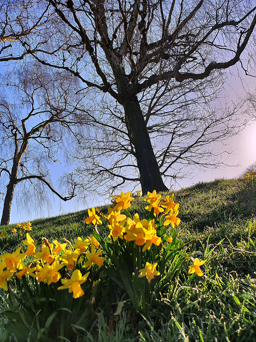 enjoynorwich's tweet image. E N J O Y
Such a wonderful way to start the day; a walk through Eaton Park.

#FridayFeeling #norwich