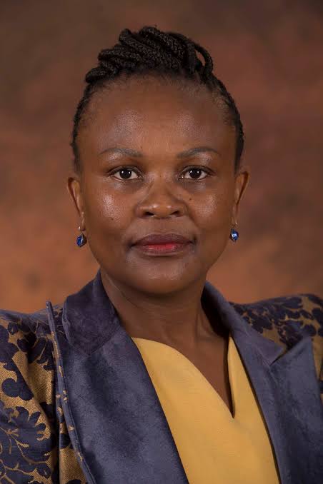 THE PUBLIC PROTECTOR MUST VOETSEK. RETWEET IF  YOU AGREE.