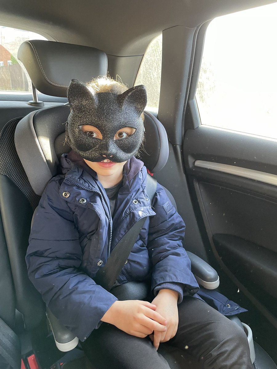 NeilTownsend75's tweet photo. Cat Woman being chauffeured to her school today! 🙄 @OrchardPrimary @comicrelief @comicreliefsch https://t.co/54MKiGnAga