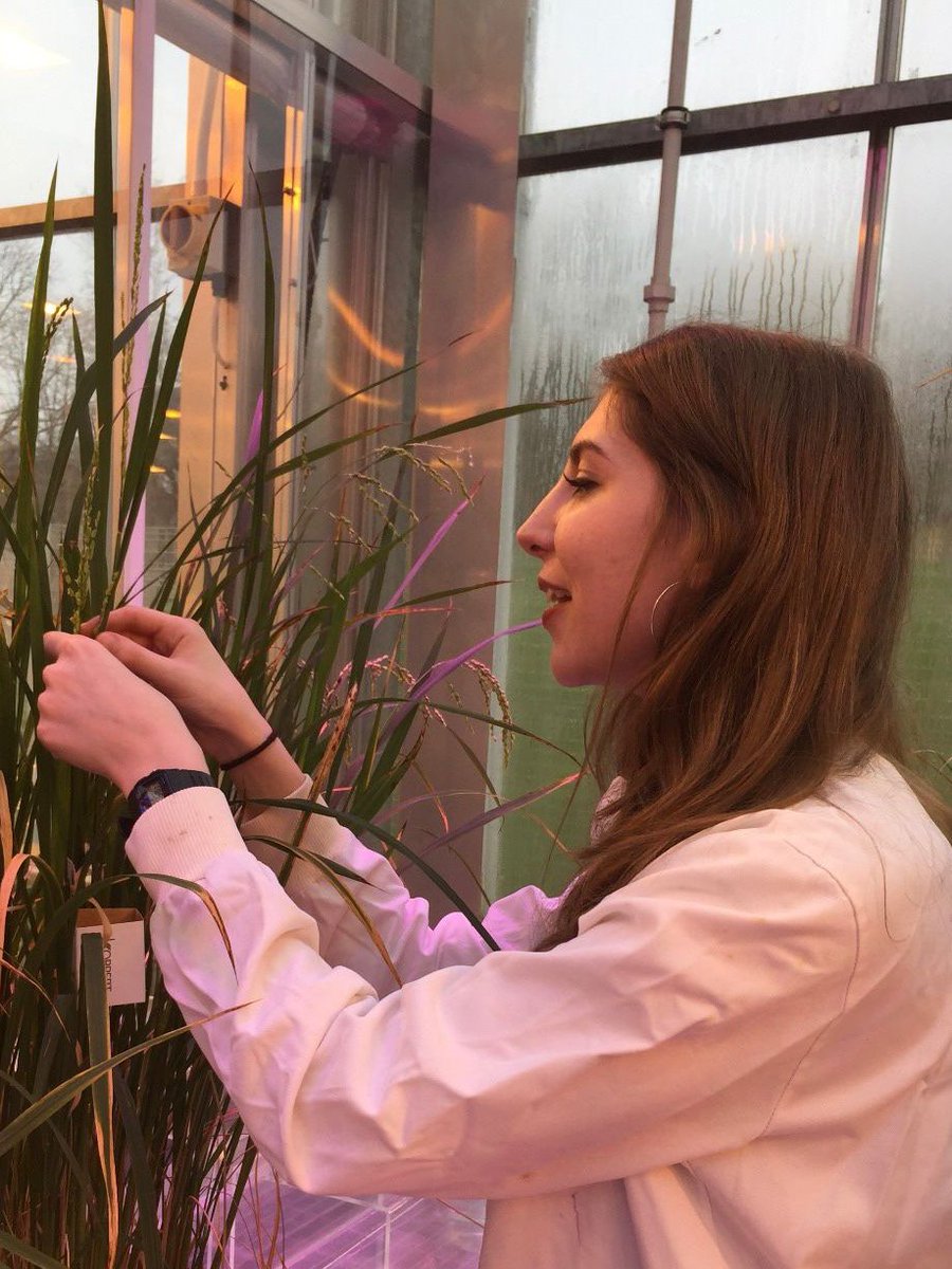 antibioticsUOF's tweet photo. #antibioticsunderourfeet hope you are inspired by our @univofstandrews staff and students #SmashingStereotypes for #BSW22 🚀🧪💊🦠🍞🙋🏾‍♀️🙋🏾Check in👋🏼every day during @ScienceWeekUK to meet more #scientists with inspiring messages for #diversity and #careers in #STEM @SchoolofBiology https://t.co/YUP8Ee0O6L