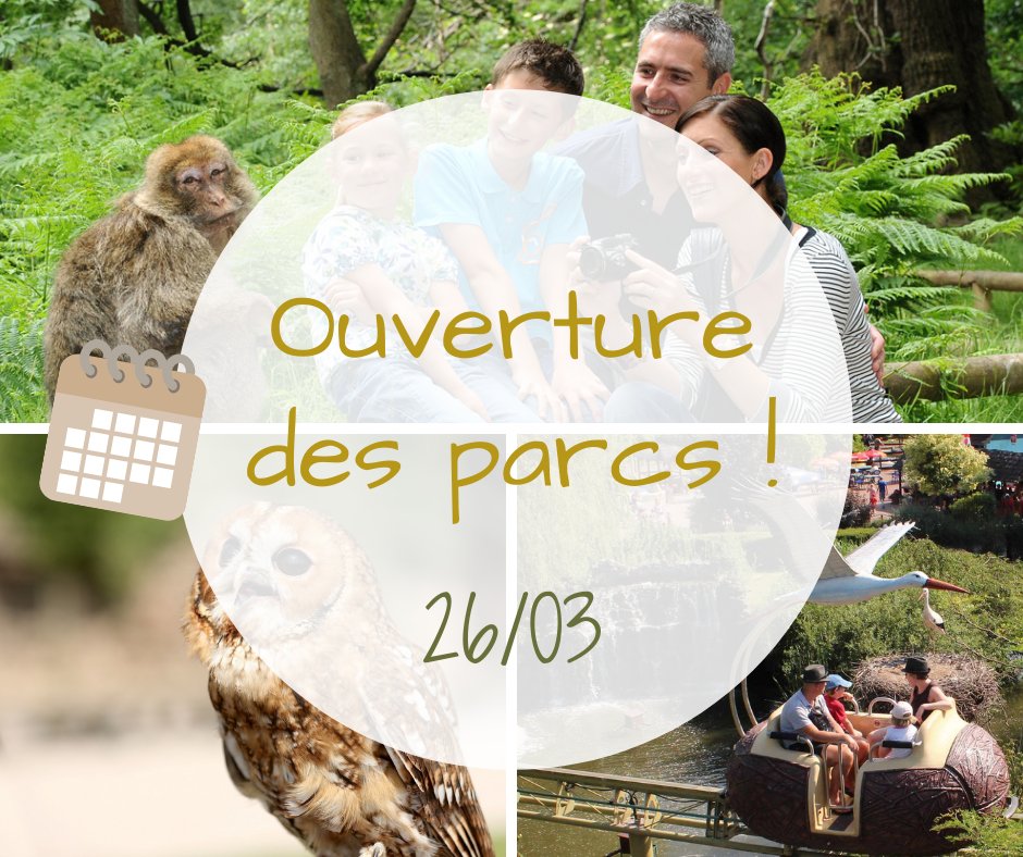 [📣 26 MARS : OUVERTURE DE NOS PARCS ANIMALIERS ! ]

La Montagne des Singes🐒, la Volerie des Aigles🦅, ou Cigoland🎡...
Retrouvez vos parcs animaliers et de loisirs préférés au cœur de l'Alsace, samedi 26 mars 2022🎉!

#VisitSelestat #Alsace