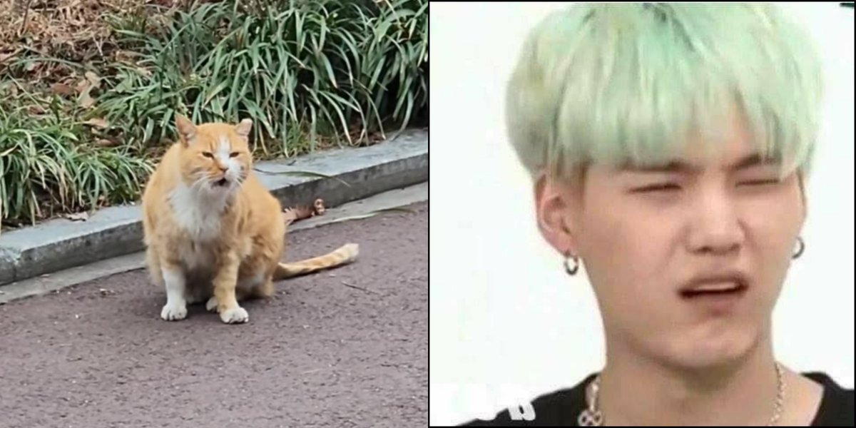 jalii26's tweet photo. I see no difference!
#BTS #YOONGI #btsmeme #ARMY #SUGA #btsinsta https://t.co/kOfa477dP9
