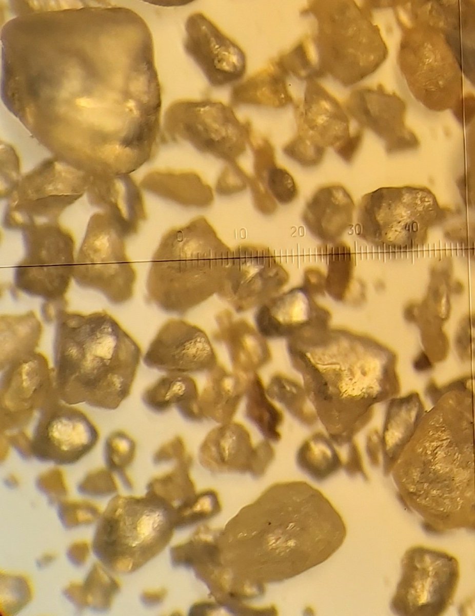 #Saharan hiekkapölyn näytteitä pyydetään lähettämään Ilmatieteen laitokselle. Oranssit laikut lumella kertovat Saharan pölystä (kuva) ja ne ilmestyvät vasta usean päivän kuluttua pintalumen sulaessa. @Ilmatiede näyteohje on täällä: mailchi.mp/68bff827072e/s…