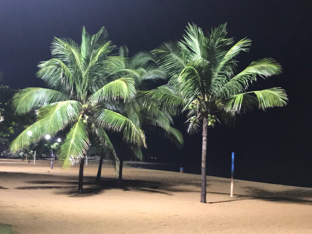 _notlim's tweet image. Bom dia!