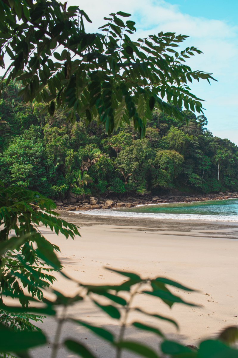 shotsbycedric's tweet photo. @BraydenCreation ~green fantasy beach https://t.co/wYLb5ZmI2U