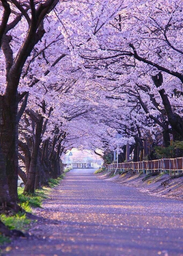 Julia177618091's tweet photo. Happy day💗 https://t.co/5UfZh87Ybt