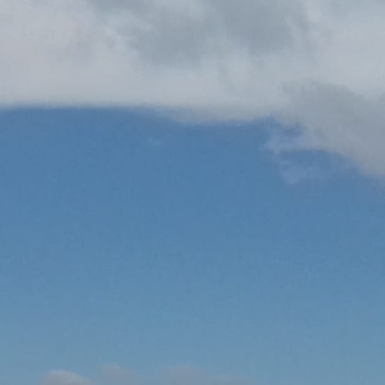 #NouvellePhotoDeProfil