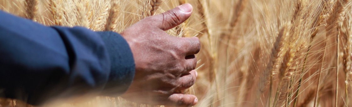 Check the OKP and MSP Scholarships for these WUR / WCDI Courses https://bit.ly/34PYKee