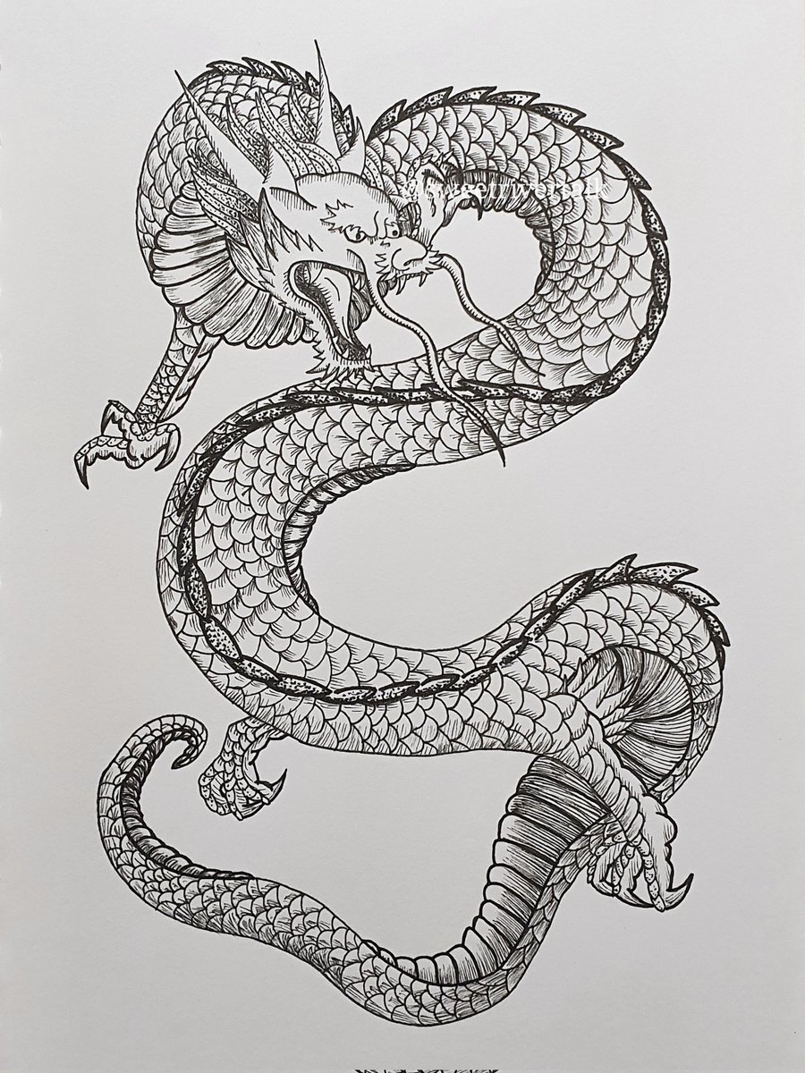 sweetrivertalk's tweet photo. Sharing more of my artwork...little dragon piece I did for @debenwolves 🐉

#artwork #artist #art #dragon #InkDrawing #tattooart https://t.co/QjEwOQqOuR