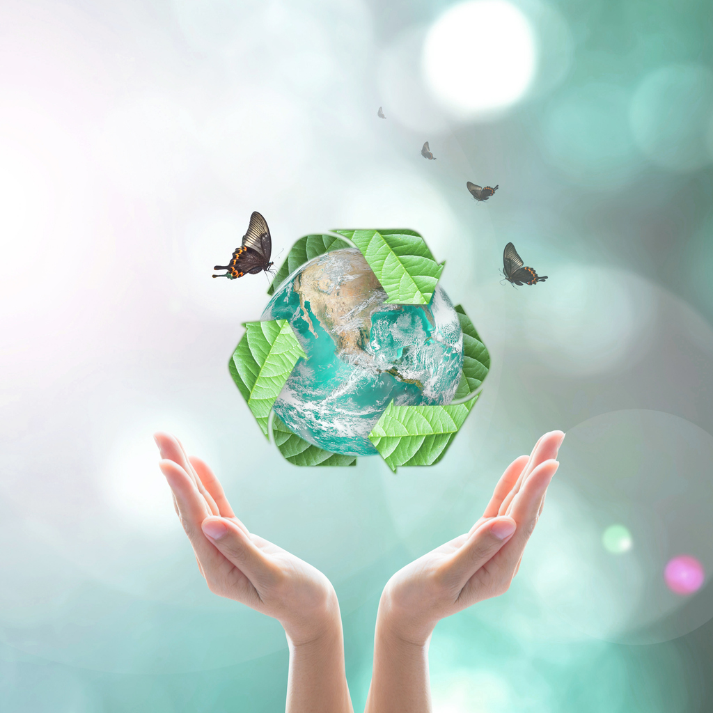 #GlobalRecyclingDay 🌎♻️

Did you know that we have a zero to landfill policy?  We're committed to making the world a greener place. We'll ensure that every part of your device is responsibly recycled if the gadget can't be reused.
#sustainabilty  #Recycling #CleanerGreener