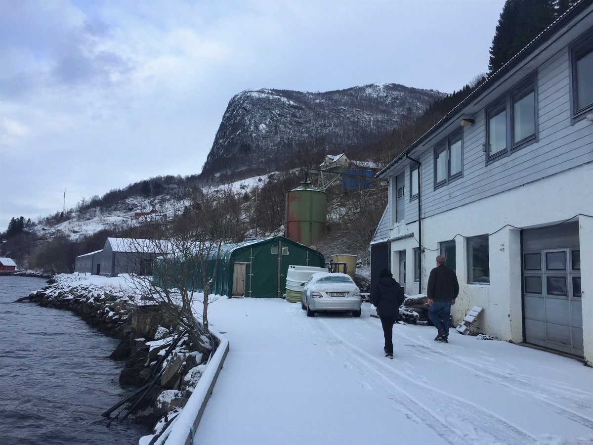 What an amazing view to work!❄️
Our researchers Elsa Cabrita and @EFatsini visited the facilities of the company Sogn Aqua Juveniles SA in Norway where the halibut broodstock that they will work within the Breedflat project will be installed.

See more at: ccmar.ualg.pt/en/news/we-tra…