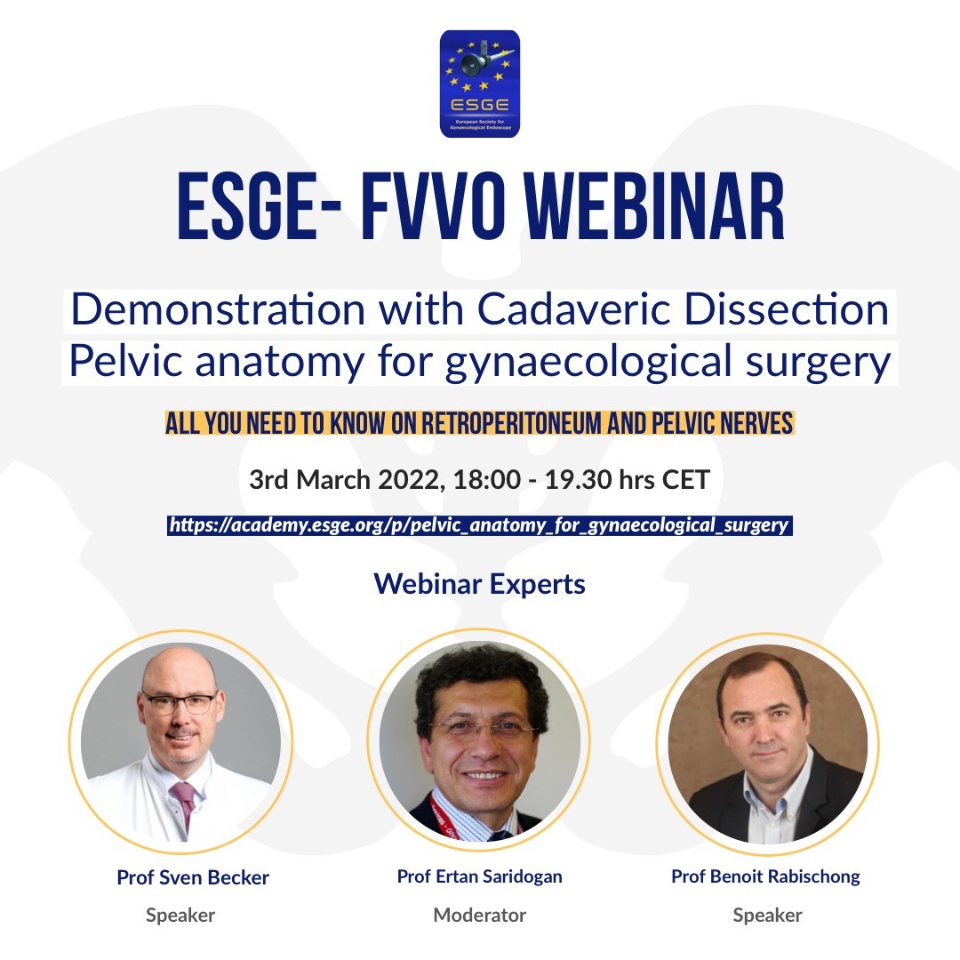 European Society of Gynaecological Endoscopy (@esgeorg) on Twitter photo Missed this ESGE - <a href="/FVV_ESGE/">ESGE Journal Facts, Views and Vision in ObGyn</a> #Webinar on Retroperitoneum and Pelvic Nerves?
Watch it now on Demand: 🔗academy.esge.org/p/pelvic_anato… Missed this ESGE - <a href="/FVV_ESGE/">ESGE Journal Facts, Views and Vision in ObGyn</a> #Webinar on Retroperitoneum and Pelvic Nerves?
Watch it now on Demand: 🔗academy.esge.org/p/pelvic_anato…