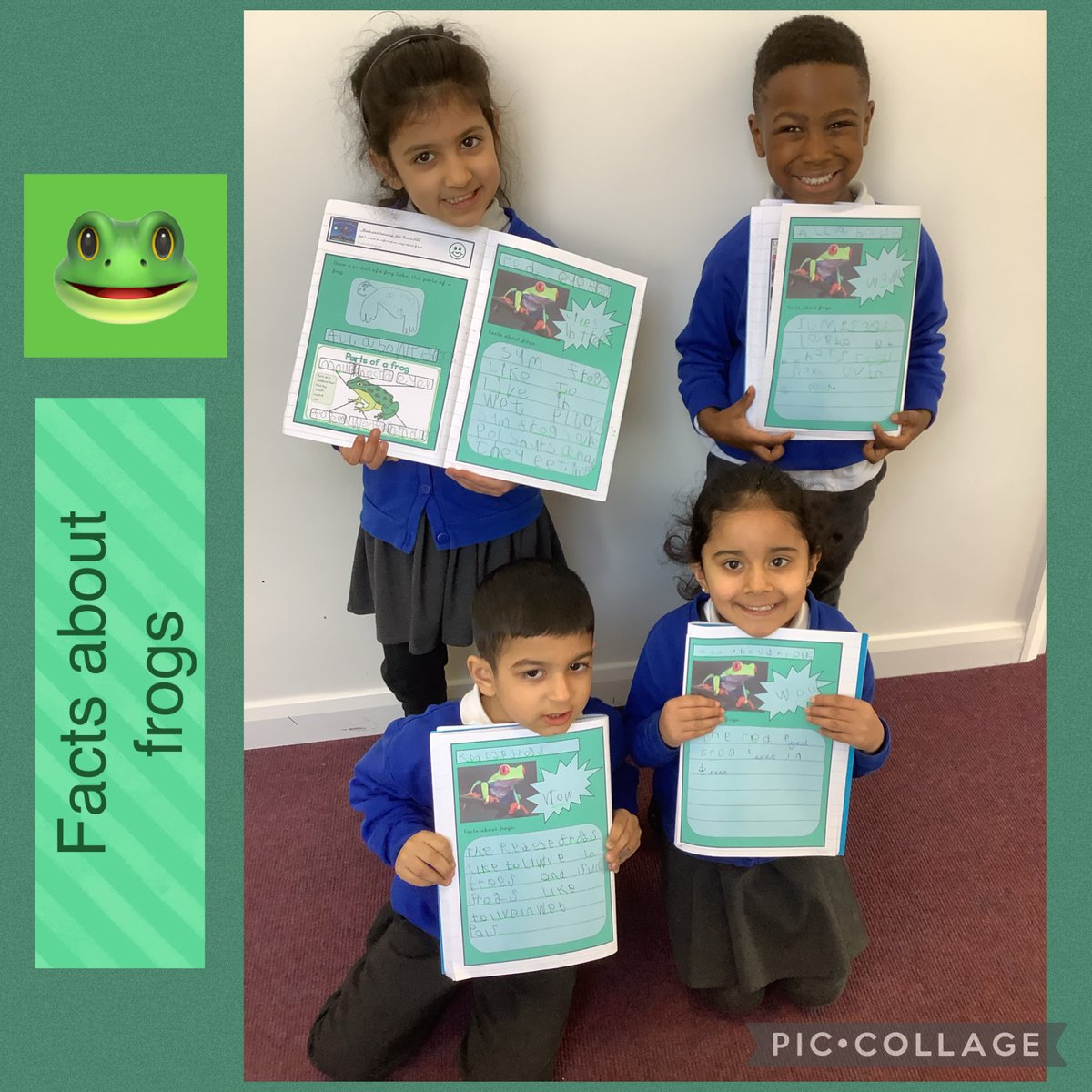 StJohnsRCRoch1's tweet image. Look at our amazing non-fiction pages! We researched the facts first by reading some non-fiction texts. We then created our very own fact file about frogs 🐸. #earlywriting #EYFS #receptionwriting #writing