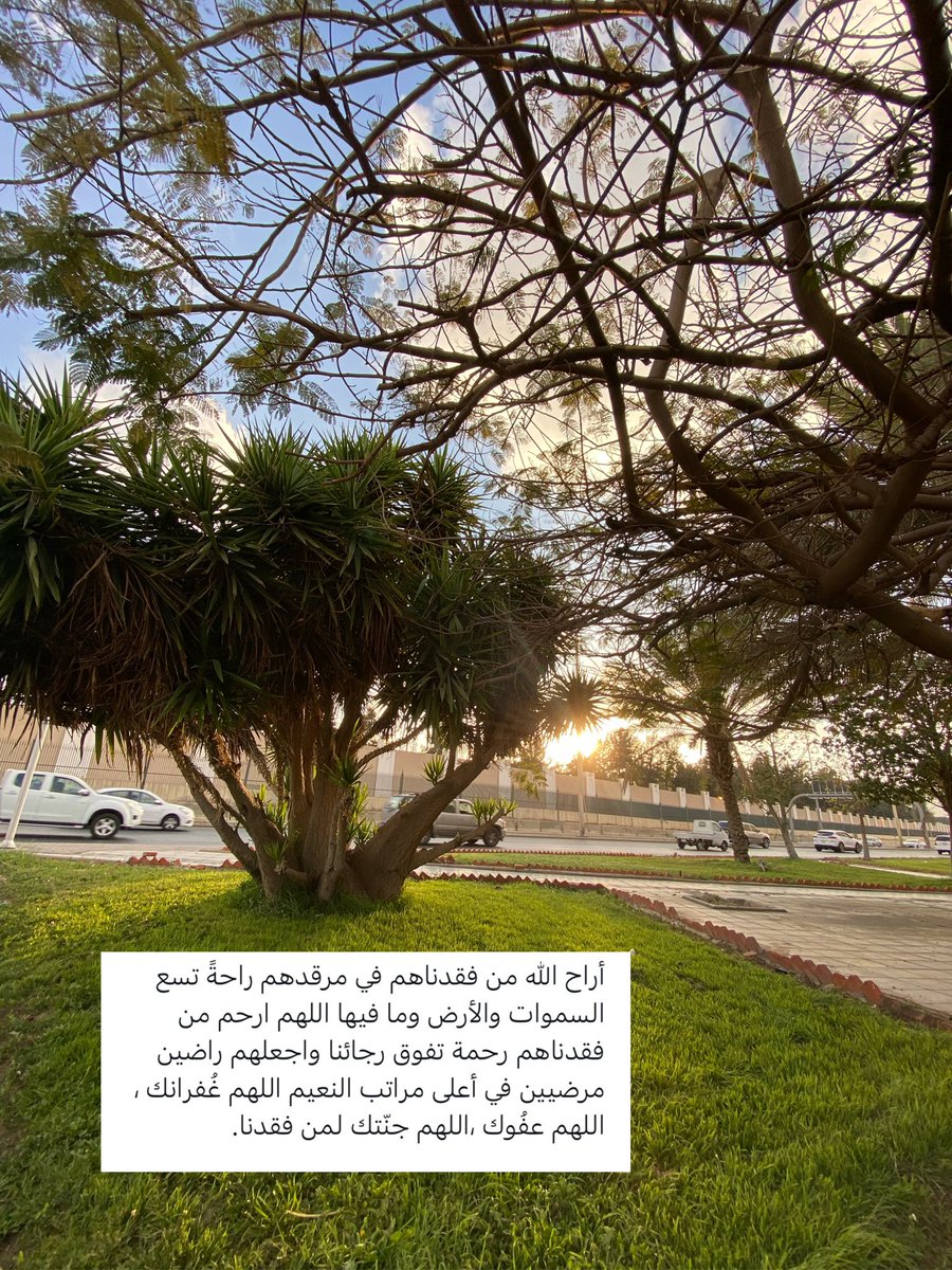 uref24's tweet photo. #يوم_الجمعة https://t.co/yarHenwzmY