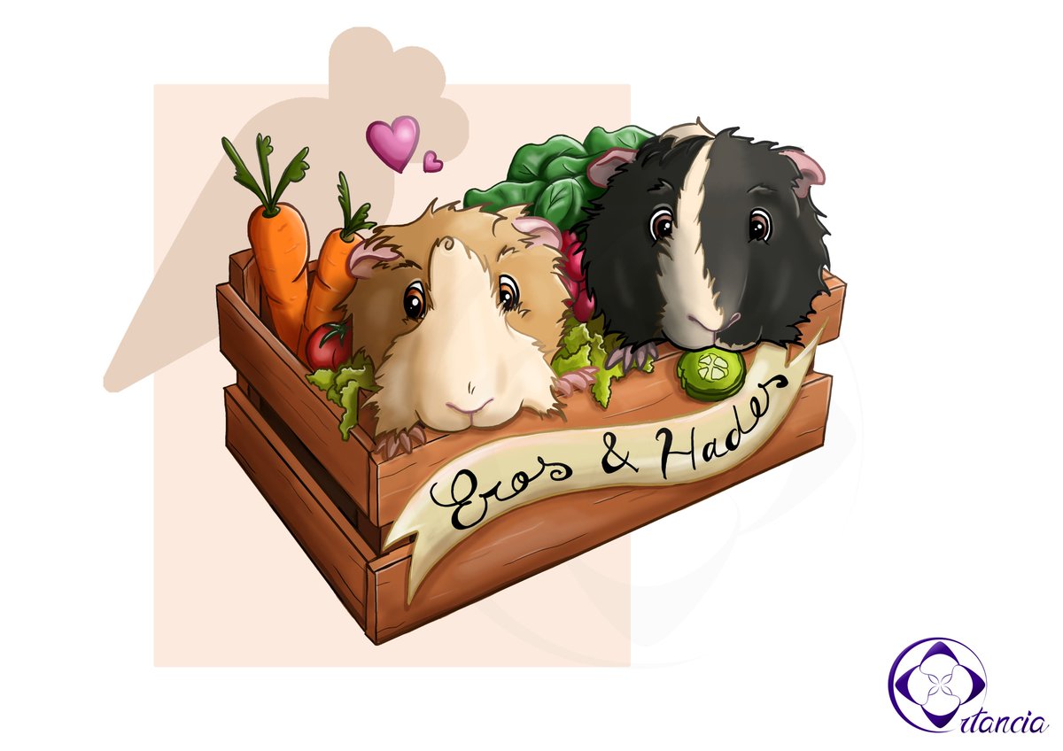 OrtanciaDesigns's tweet photo. Mon premier portrait de #guineapig #cochondinde :D https://t.co/OIzk6Owyhq