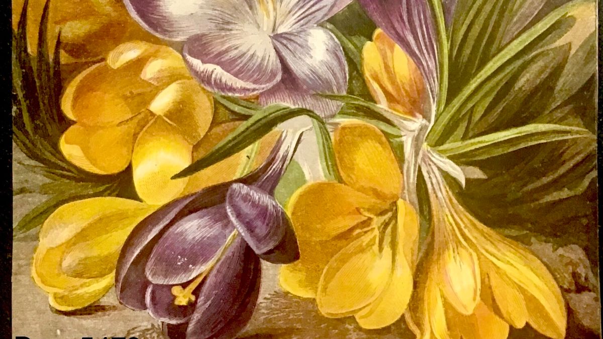 Cotesbach's tweet photo. Spring Newsletter from CET - https://t.co/HDVEhHhy3e https://t.co/SCp1ZqW6h9