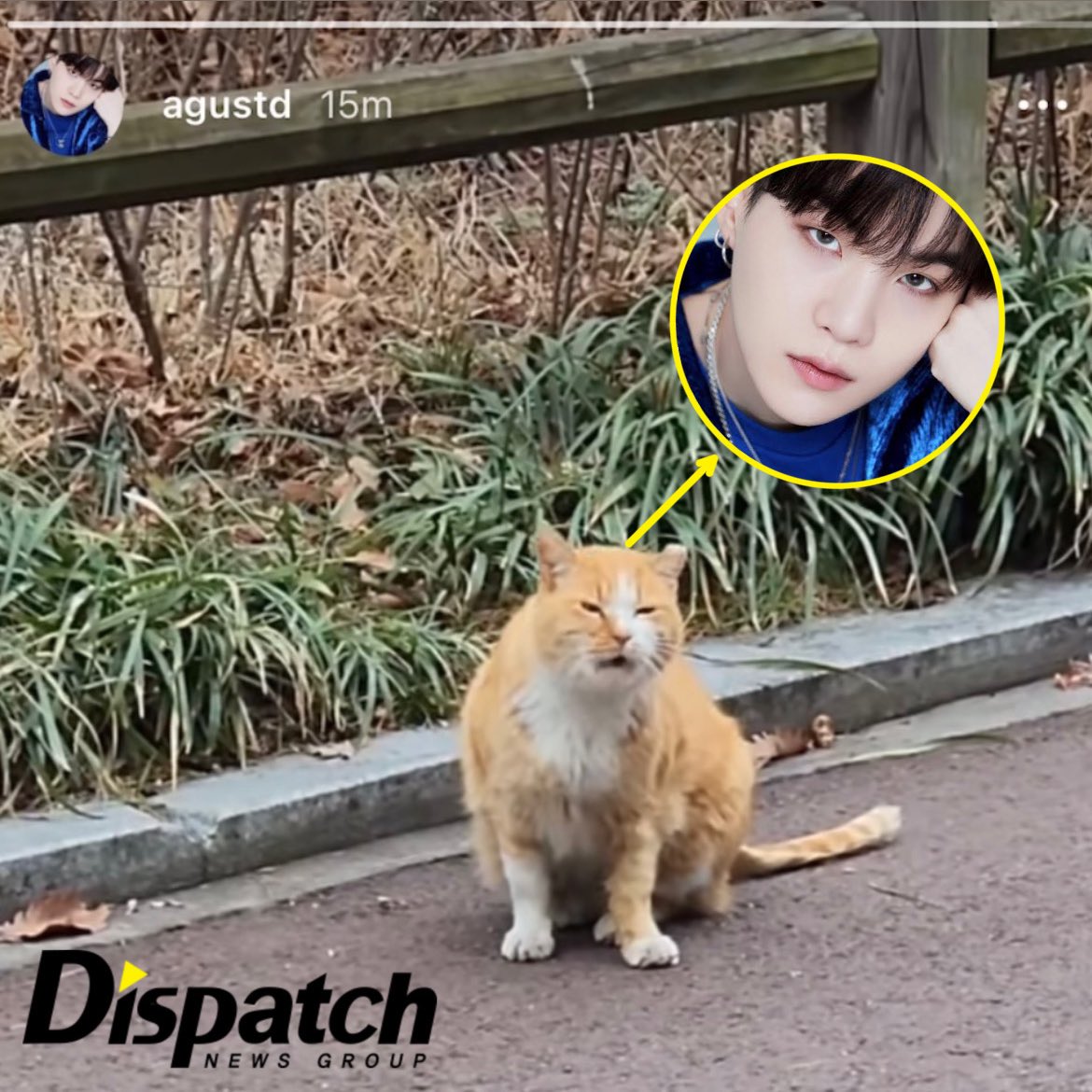 joons uparupa (@420joon) on Twitter photo 