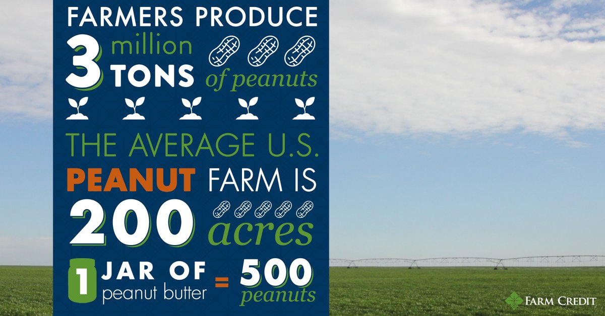 SWGAFarmCredit's tweet photo. #NationalPeanutMonth is a great time to celebrate a delicious treat! Tasty nuts add a punch of flavor to almost any dish. Eat them whole or spread peanut butter on a sandwich. Don’t let the month of March go by without trying something new!
#swgafarmcredit https://t.co/lBz9CCIJRN