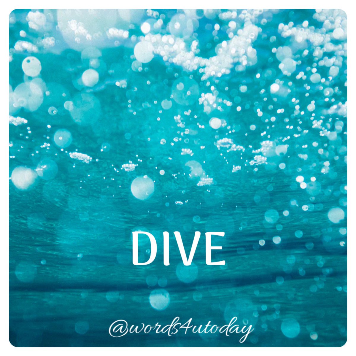 hello_aline20's tweet photo. DIVE INTO HAPPINESS 🤿
- - -
#words4utoday #wordsforyoutoday
#divequote https://t.co/J9T89QvpcT