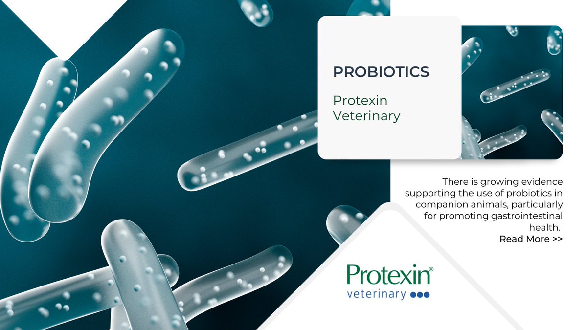 WikiVet (@wikivet) on Twitter photo Have you seen <a href="/Protexin_Vet/">Protexin Veterinary</a>'s newest article on WikiVet?
Read all about probiotics in companion animals here π ow.ly/h4Kf50ImtLQ Have you seen <a href="/Protexin_Vet/">Protexin Veterinary</a>'s newest article on WikiVet?
Read all about probiotics in companion animals here π ow.ly/h4Kf50ImtLQ