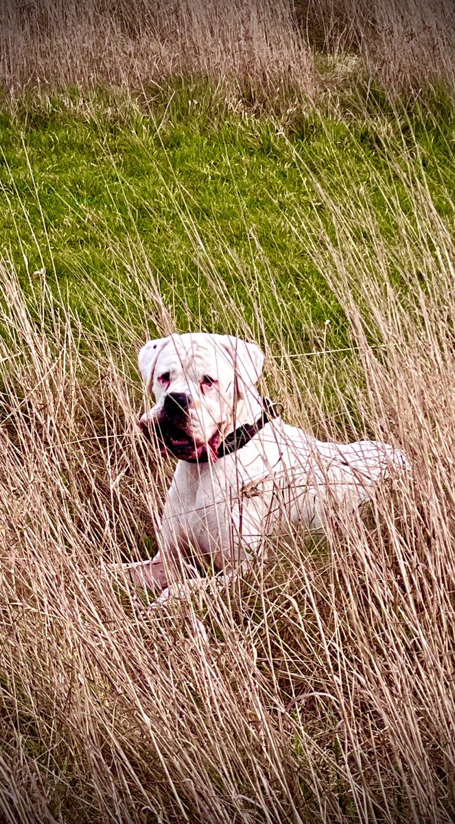 FX Decor Ltd tweet media