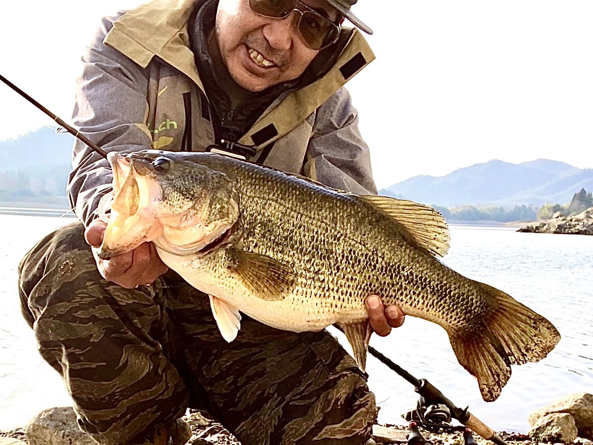 dranckrazy_dk's tweet photo. 青野大会下見ガーゴイル63の1本勝負で55cm★動画撮影出来たのでヒットポイント、シチュエーションなど近日YouTubeで公開します♬やはりディレンジフーラスジエビはプリスポーンに効くなー https://t.co/HWDUtyry31