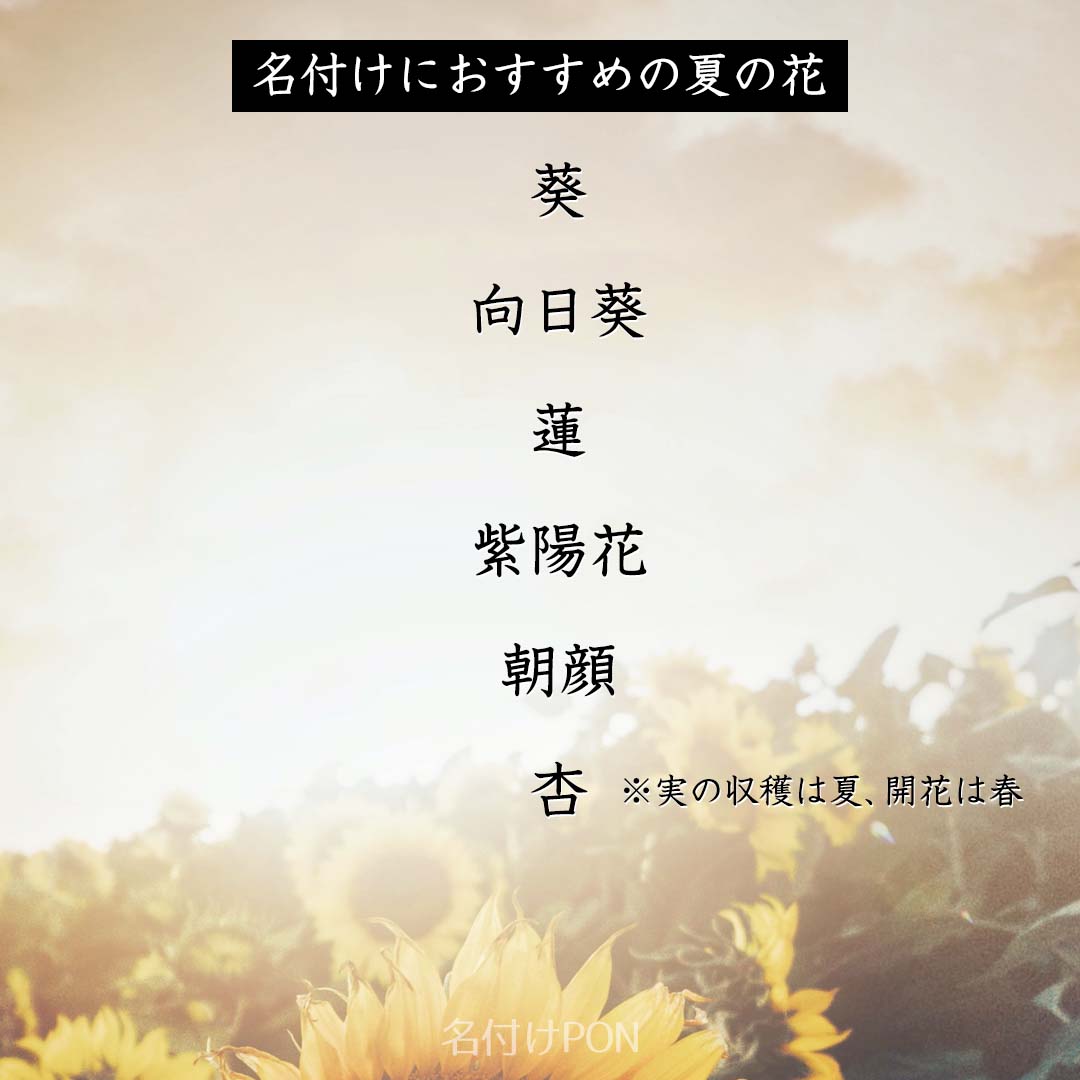 名付けポン 赤ちゃんの名前集 Nazukepon Twitter