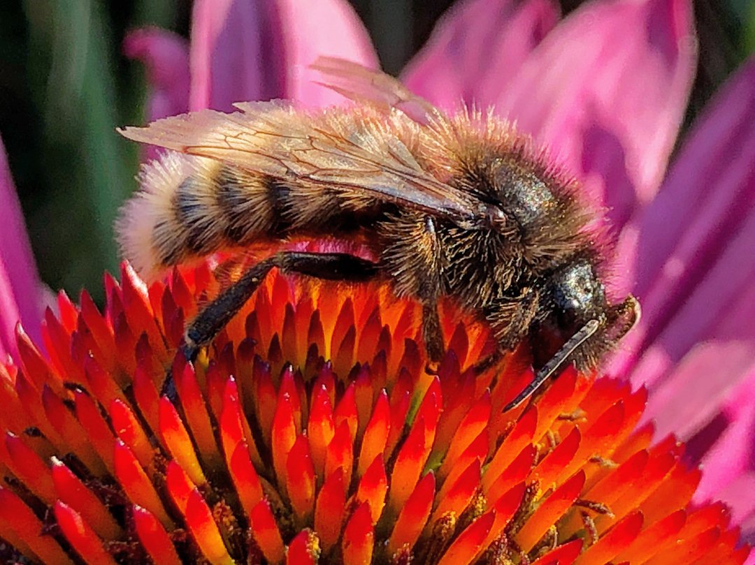 Paul Cowell tweet media